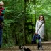 Fantastic Woodland Walks 